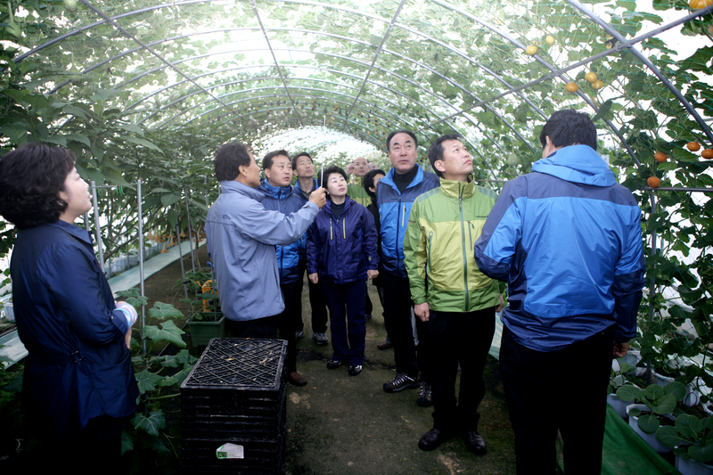 20090310-132.JPG