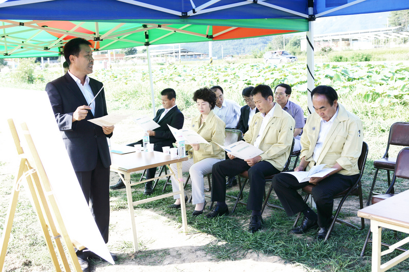20090831-145.JPG
