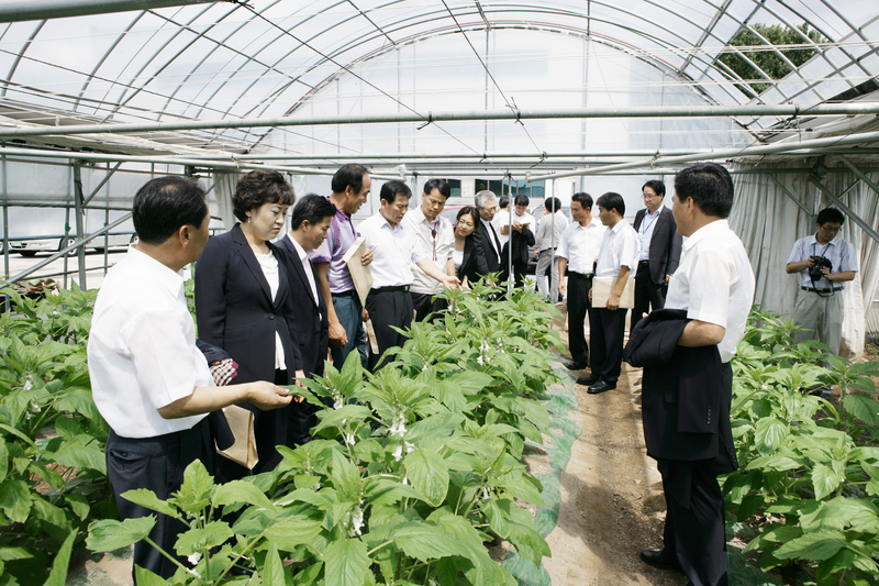 20100902-117.JPG