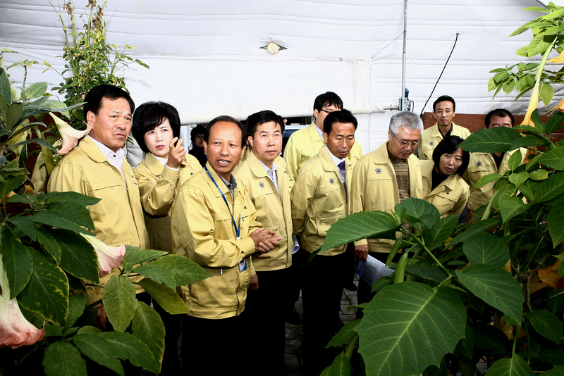 20121105-127.JPG