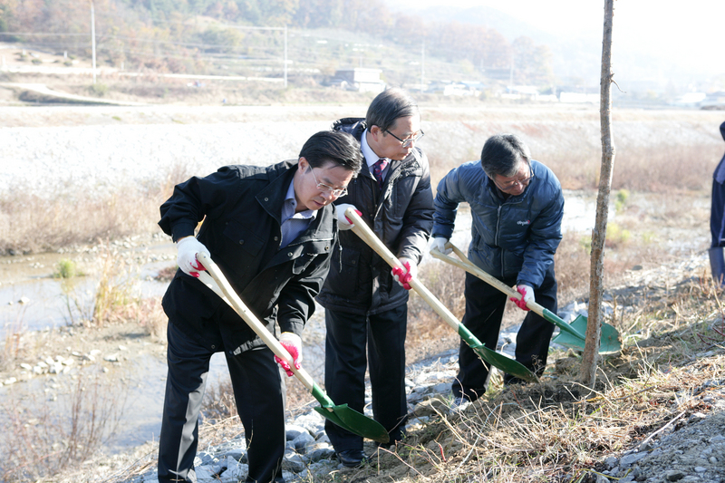 20131113-045.JPG
