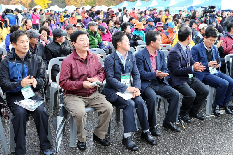 20141102-008[AP7U4193-제30회 금오산악제.JPG