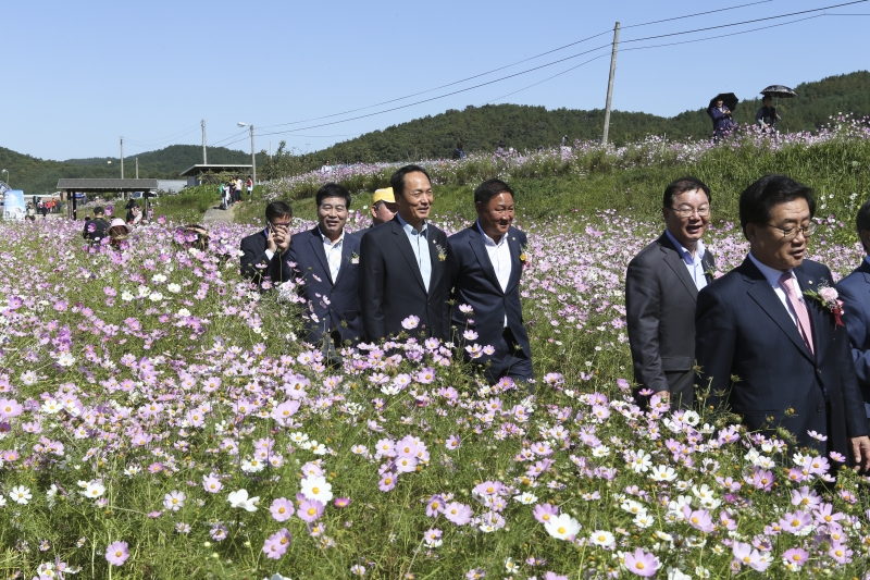 20151002-054[AP7U5365-제9회 장천 코스모스페스티벌 .jpg