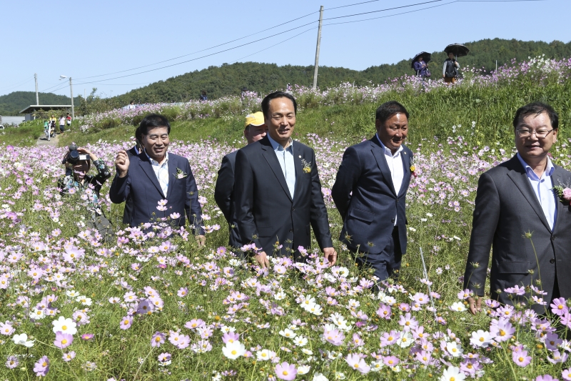 20151002-055[AP7U5367-제9회 장천 코스모스페스티벌 .jpg