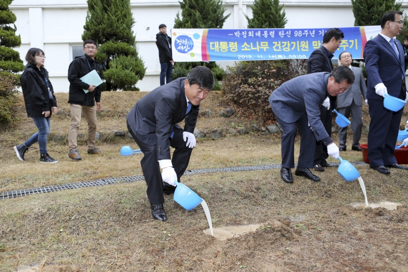 20151114-023[AP7U0173-대통령 소나무 건강기원 막걸리주기.jpg
