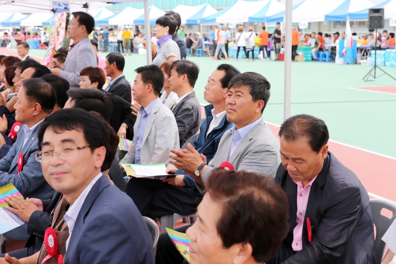 20140705-008[AP7U5623-제16회 구미시 생활체육동호인 종합체육대회.JPG