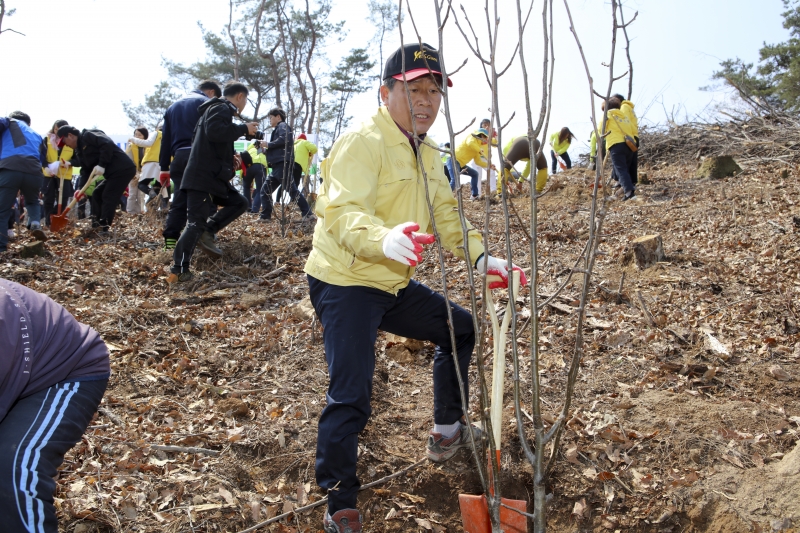 20170329-035[IMG_6420-제72회 식목일 행사.JPG