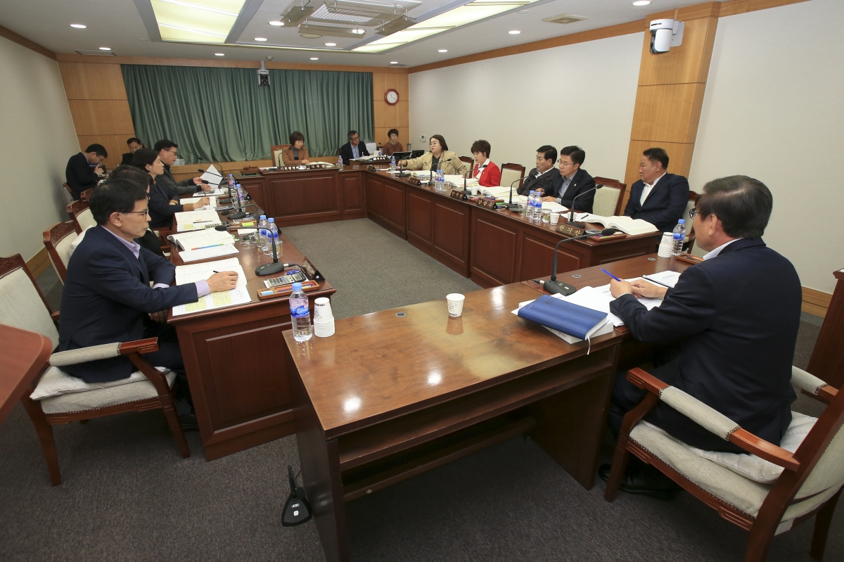 20181025-001[AP7U4336-제226회 임시회 기획행정위원회 소관 2019년도 주요업무계획안 청취.JPG