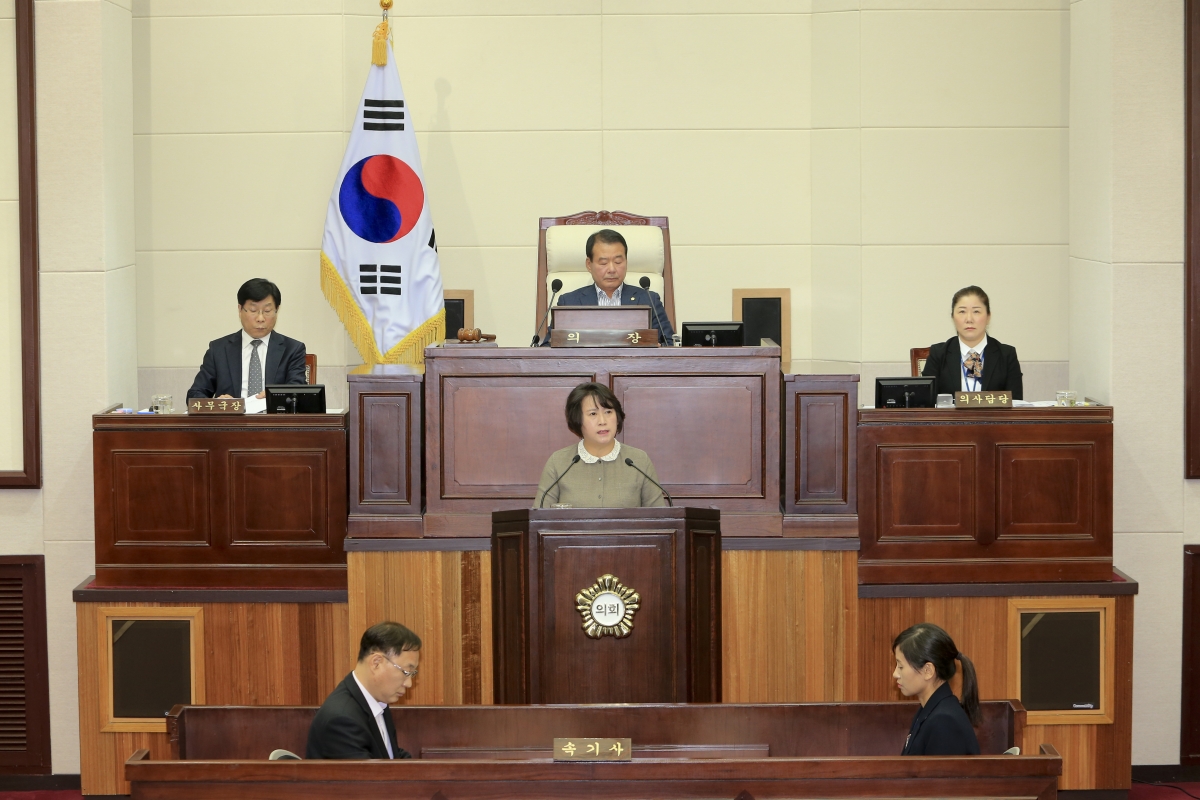 20181031-007[AP7U5436-제226회 임시회 제2차 본회의시 이지연 의원 5분 자유발언.JPG