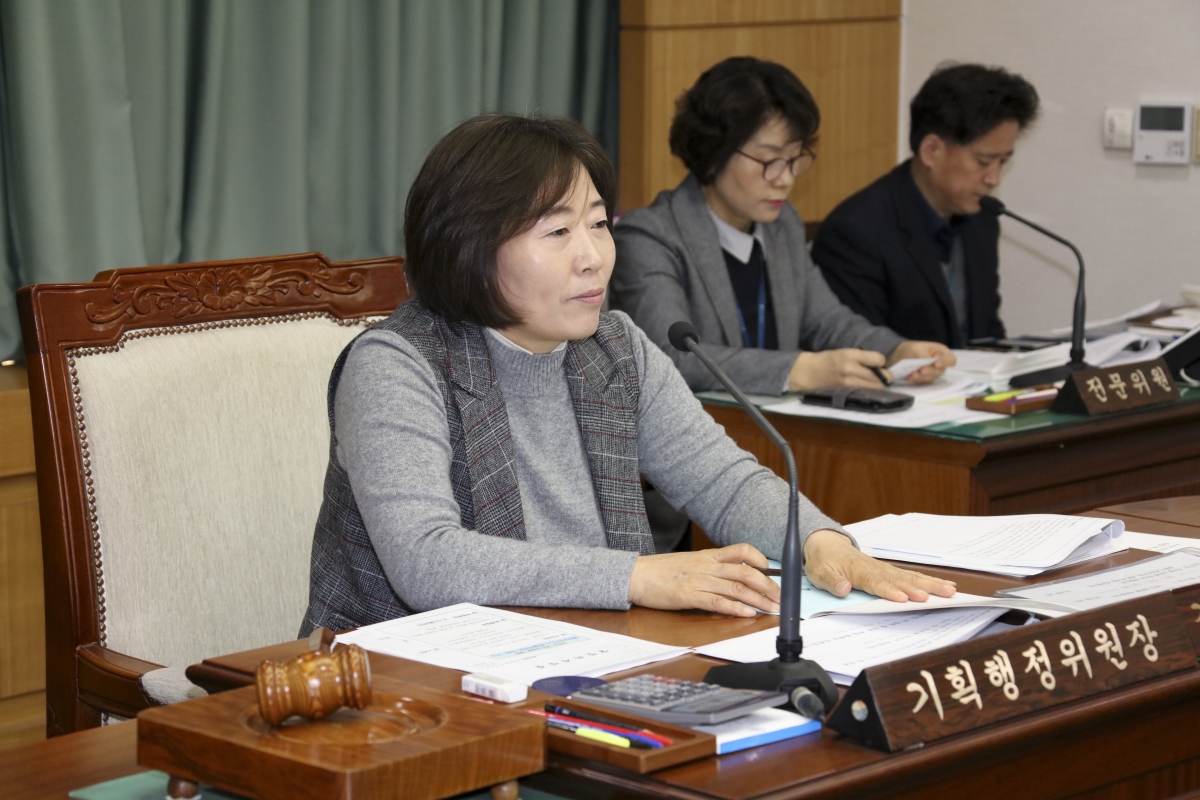 20190311-010[IMG_3312-제229회 임시회 기획행정위원회 조례안 심사활동.jpg
