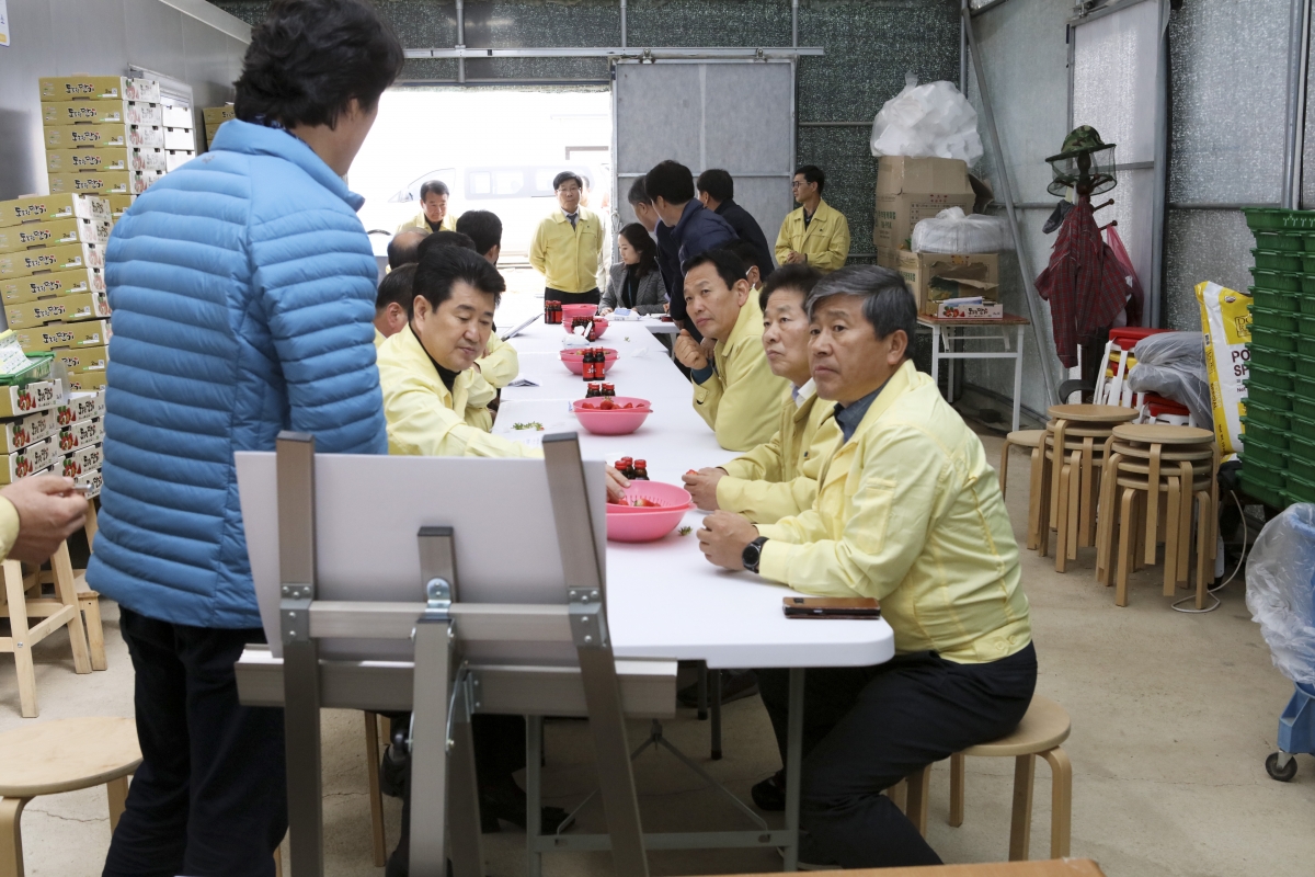 20190311-052[IMG_3396-제229회 임시회 산업건설위원회 딸기 고설재배 농가 현장방문.jpg