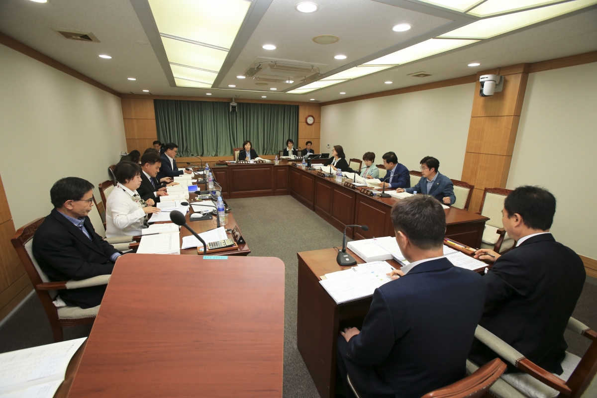 20190429-002[AP7U6961-제230회 임시회 기획행정위원회 소관 2019년도 제1회 추가경정예산안 예비심사.jpg