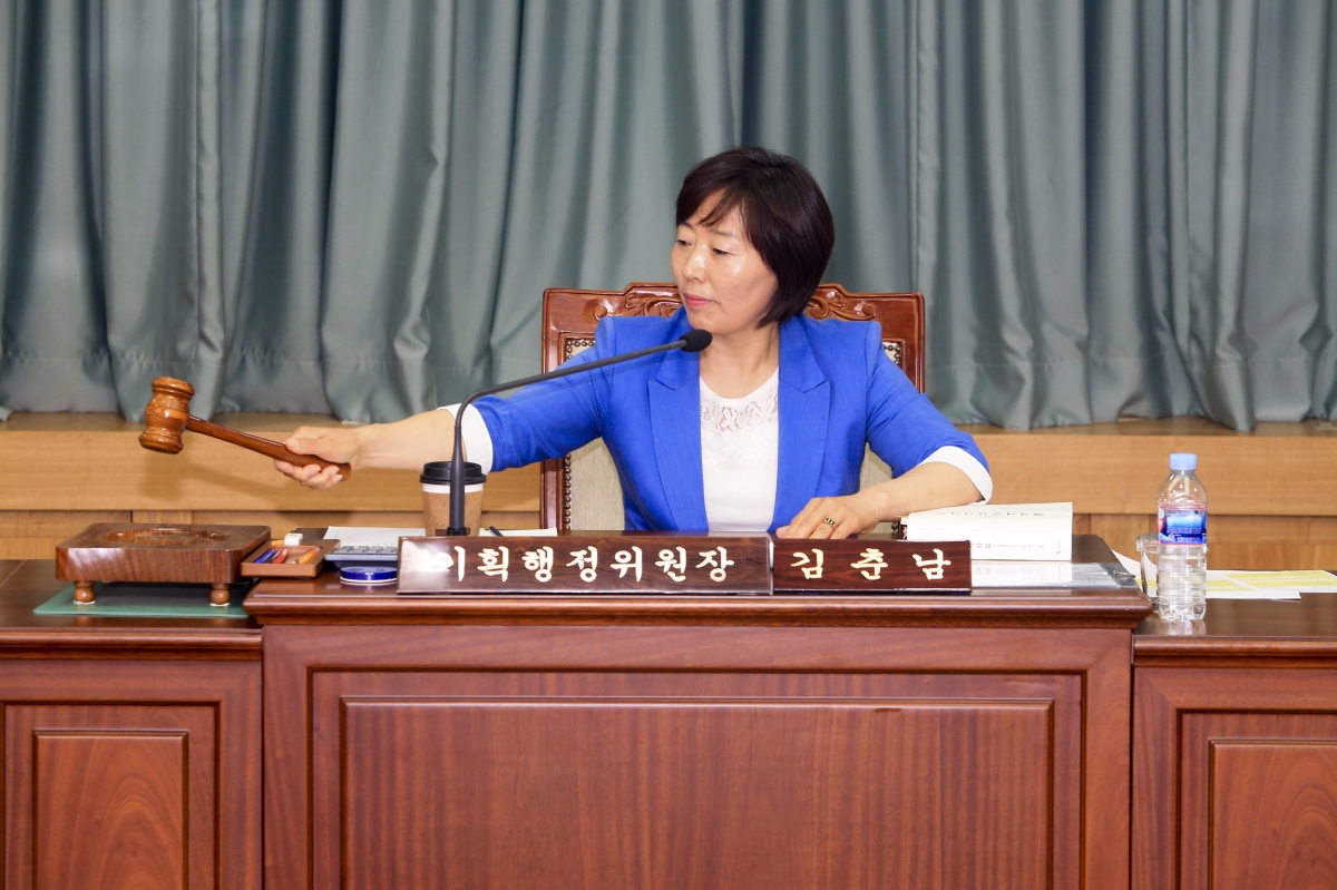 20190604-032[AP7U8750-제231회 정례회시 기획행정위원회 소관 행정사무감사 활동.jpg