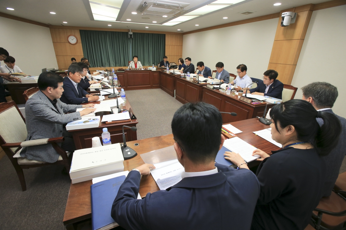 20190620-002[AP7U9287-제231회 정례회 예산결산특별위원회 2018회계연도 세입세출결산승인안 심사활동.jpg