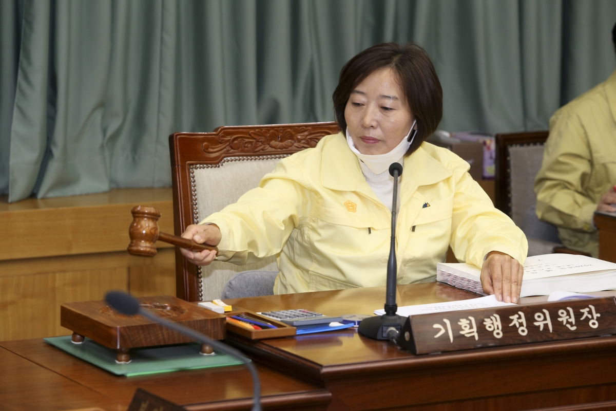 20200423-006[AP7U2443-제238회 임시회시 기획행정위원회 소관 2020년도 제1회추가경정예산안 예비심사활동.jpg