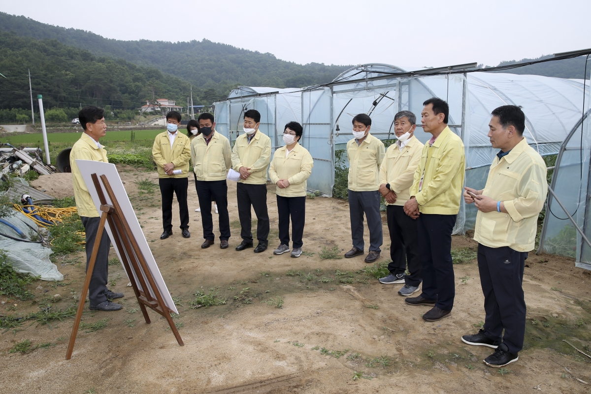 20200612-024[AP7U4223-제240회 제1차 정례회시 산업건설위원회 도개면 수박 방임재배농가 현장방문.jpg
