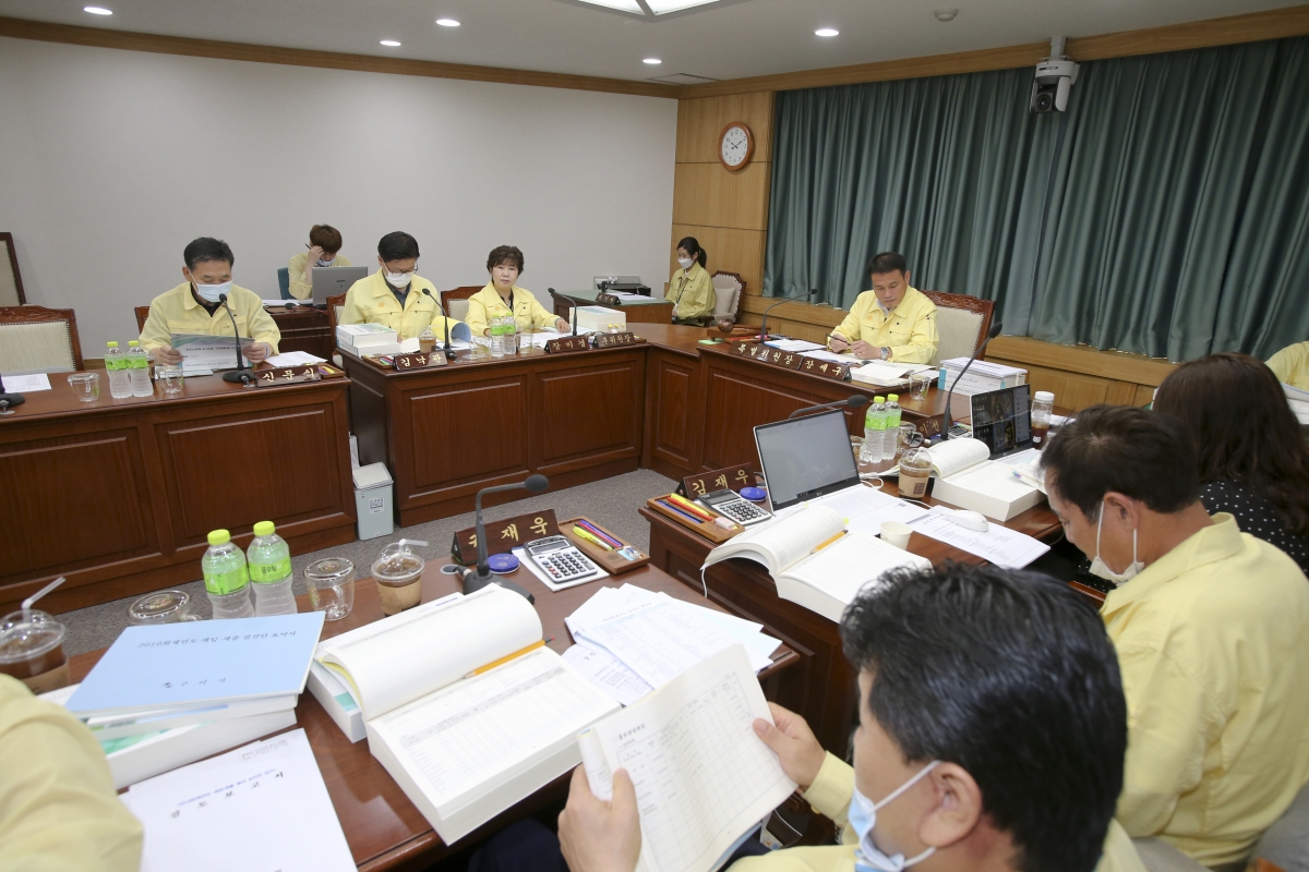 20200619-010[AP7U4640-제240회 제1차 정례회시 예산결산위원회 2019년도 세입세출결산승인안 심사활동.jpg