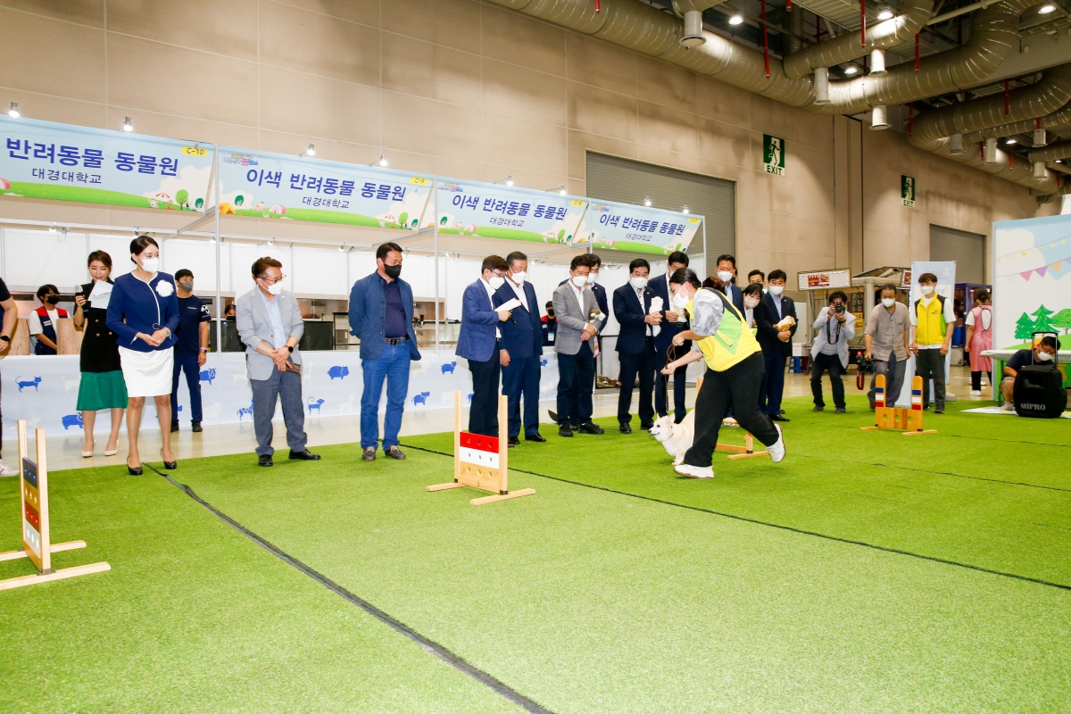20220820-056[_P7U8144-2022 대한민국 펫캉스.jpg