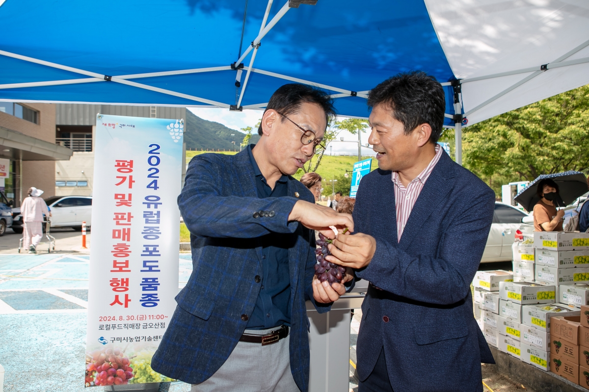 20240830-060[IMG_2904-2024 유럽종 포도품종 평가 및 판매 홍보행사.jpg