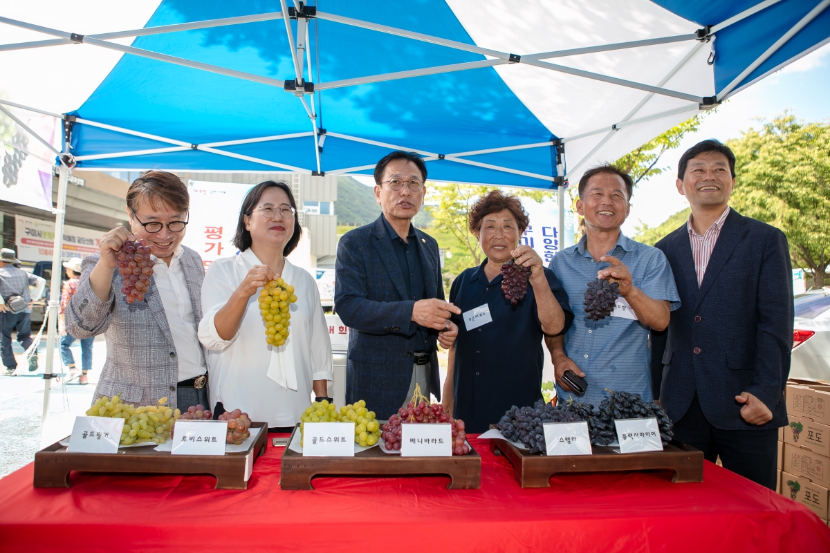 20240830-066[IMG_2919-2024 유럽종 포도품종 평가 및 판매 홍보행사.jpg