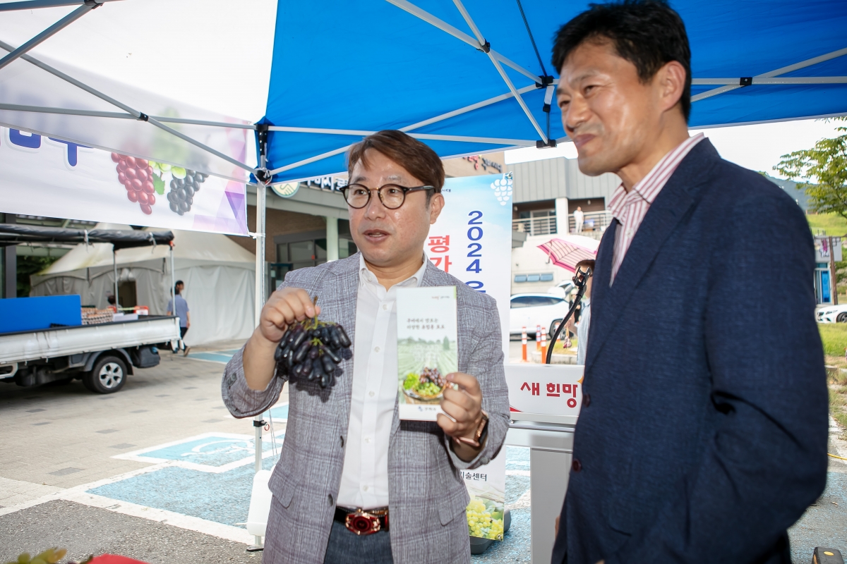 20240830-062[IMG_2909-2024 유럽종 포도품종 평가 및 판매 홍보행사.jpg
