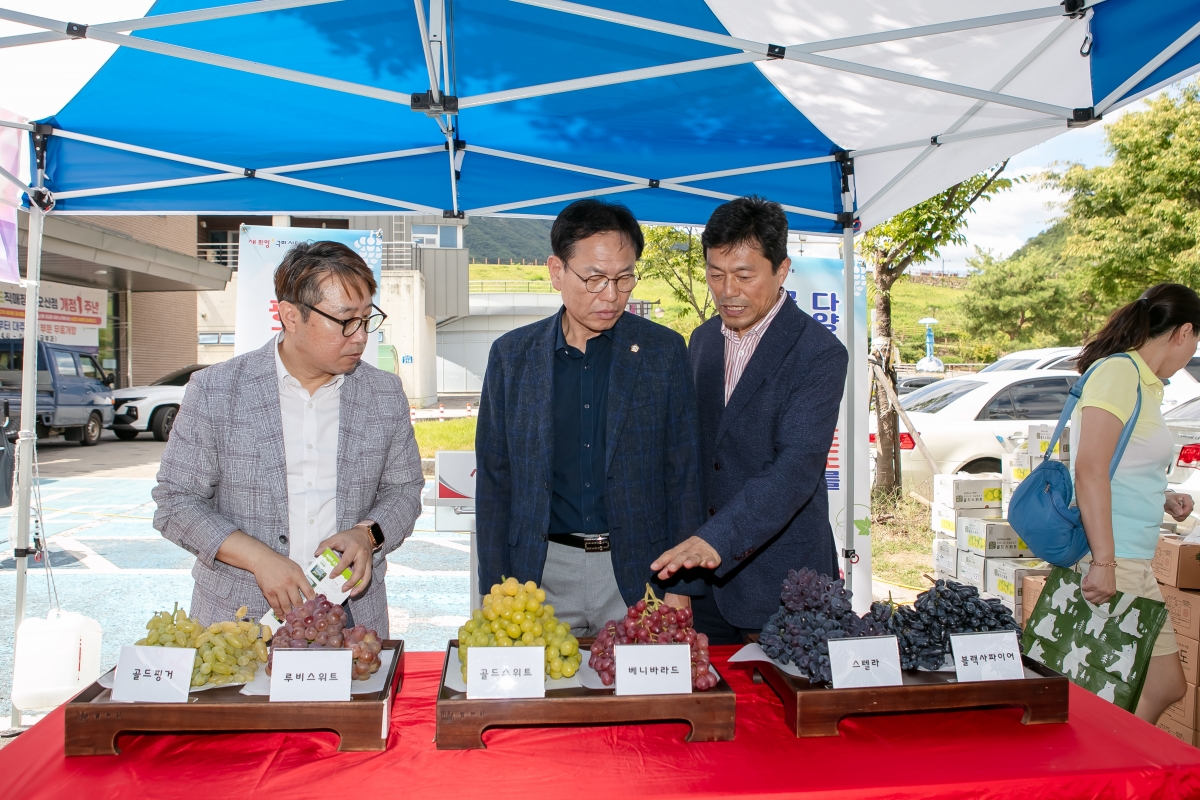 20240830-058[IMG_2900-2024 유럽종 포도품종 평가 및 판매 홍보행사.jpg