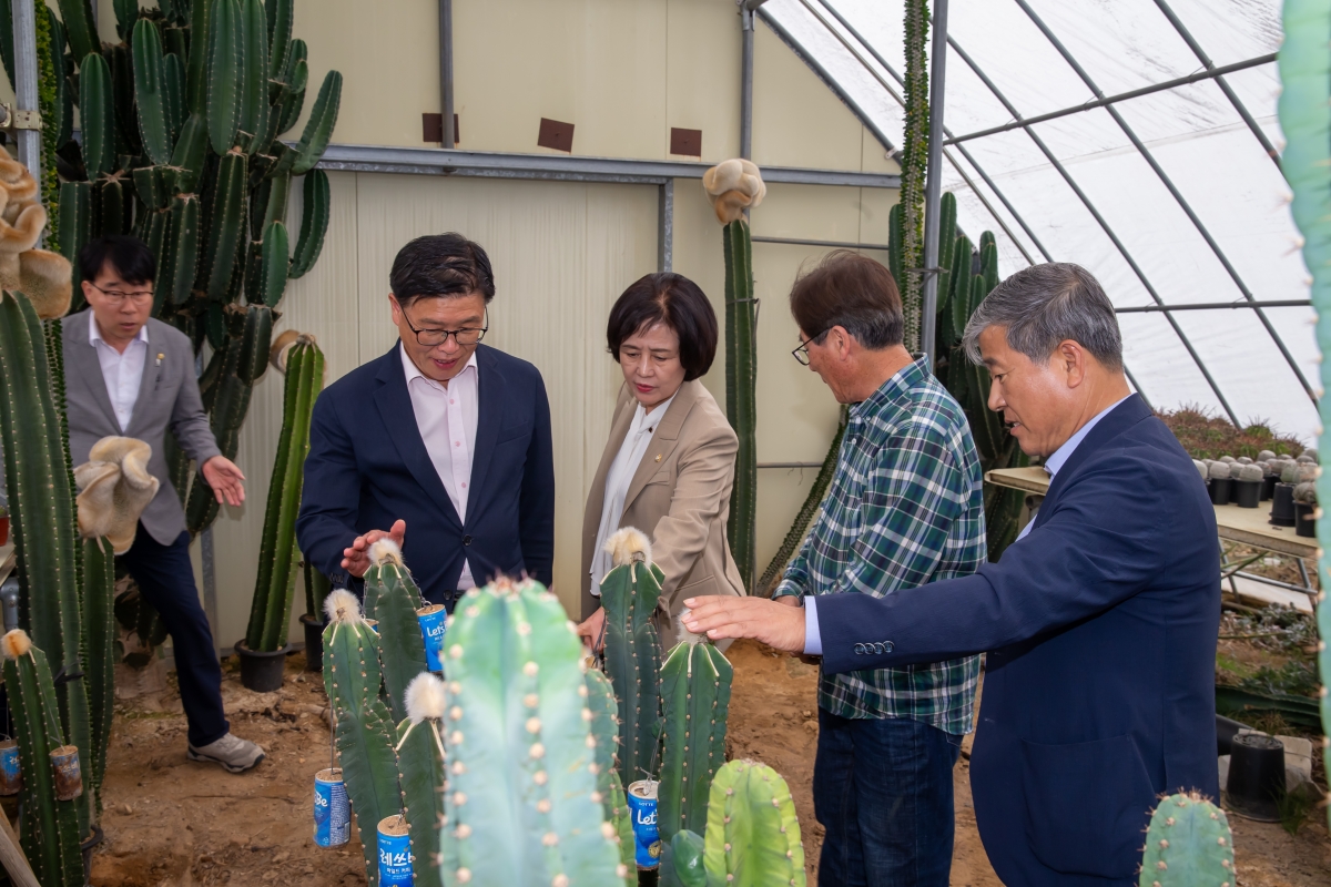 20241018-072[_P7U8954-제281회 임시회 산업건설위원회 선산읍 선인장 재배농가 현장방문.jpg
