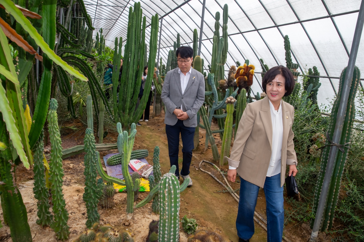 20241018-061[_P7U8929-제281회 임시회 산업건설위원회 선산읍 선인장 재배농가 현장방문.jpg